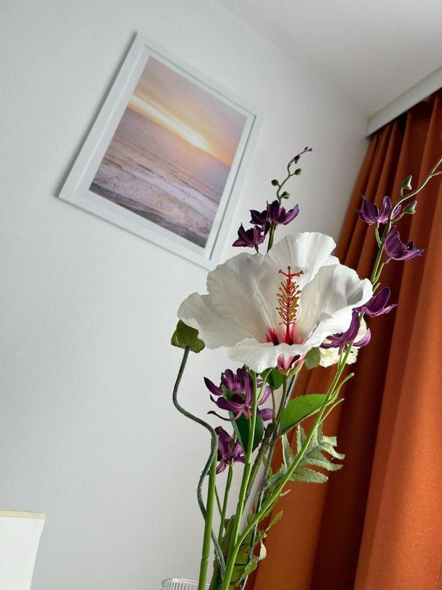 Apartment Harmony Graz Luaran gambar